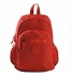 �erven� (red)