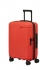 oran�ov� (orange)