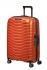 oran�ov� (orange)