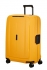 �lut� (yellow)