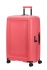 r��ov� (pink)