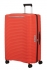 oran�ov� (orange)