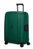 zelen� (green)