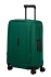 zelen� (green)