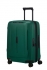 zelen� (green)