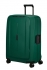 zelen� (green)