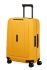 �lut� (yellow)