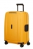 �lut� (yellow)