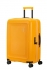 �lut� (yellow)