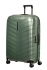 zelen� (green)
