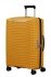 �lut� (yellow)