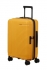 �lut� (yellow)