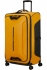 �lut� (yellow)