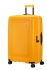 �lut� (yellow)